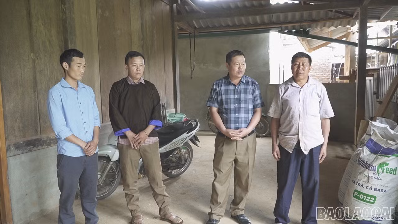 baolaocai-br-c0184t01.jpg