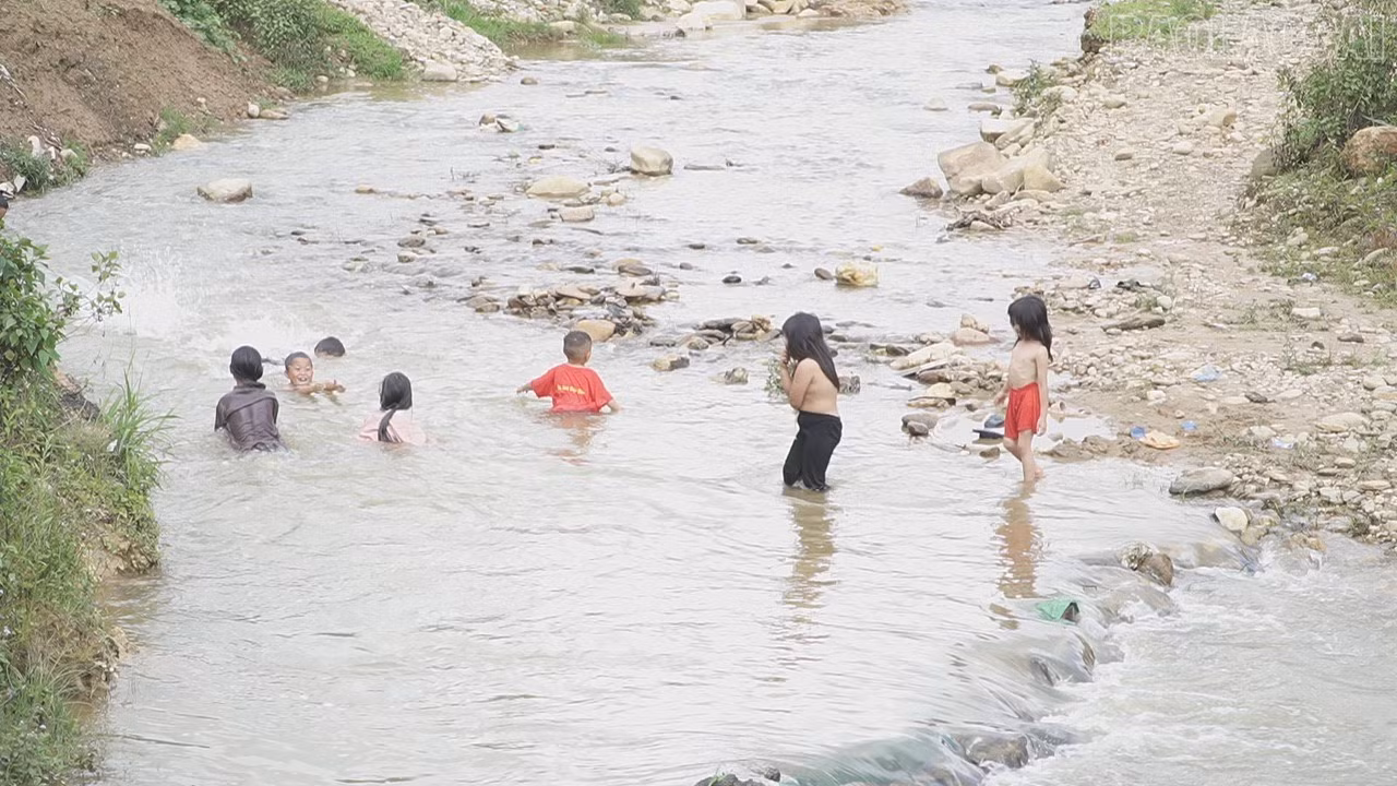 baolaocai-tr_c9637t01-3733.jpg