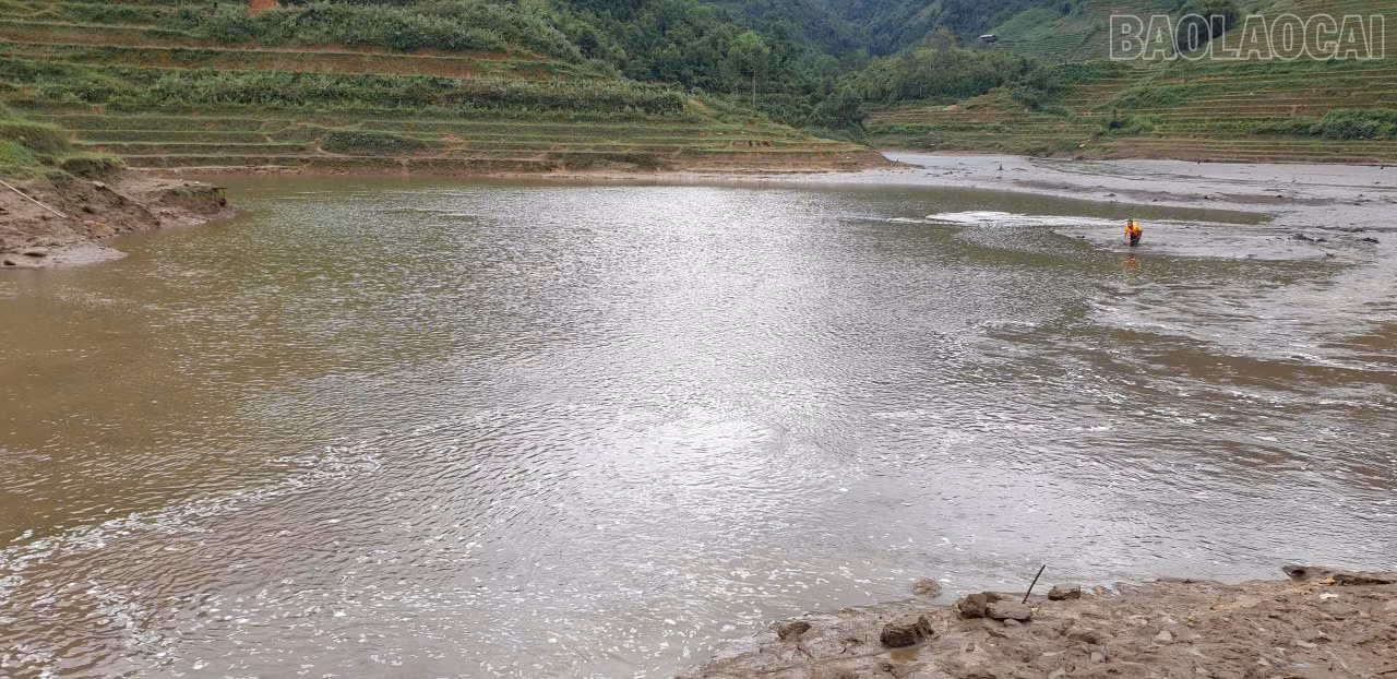 baolaocai-tr_z7139338658148-47597bf2b8cc848b732bb77ad7f17aca.jpg