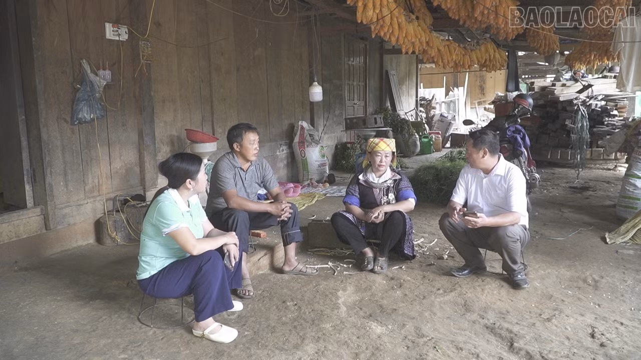baolaocai-tr_c4289t01-4317.jpg