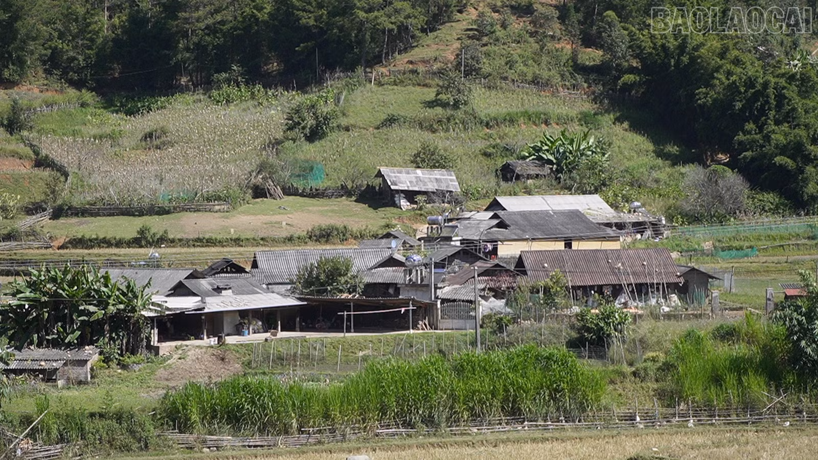 baolaocai-tr_phu-nu-cai-nghien2.jpg