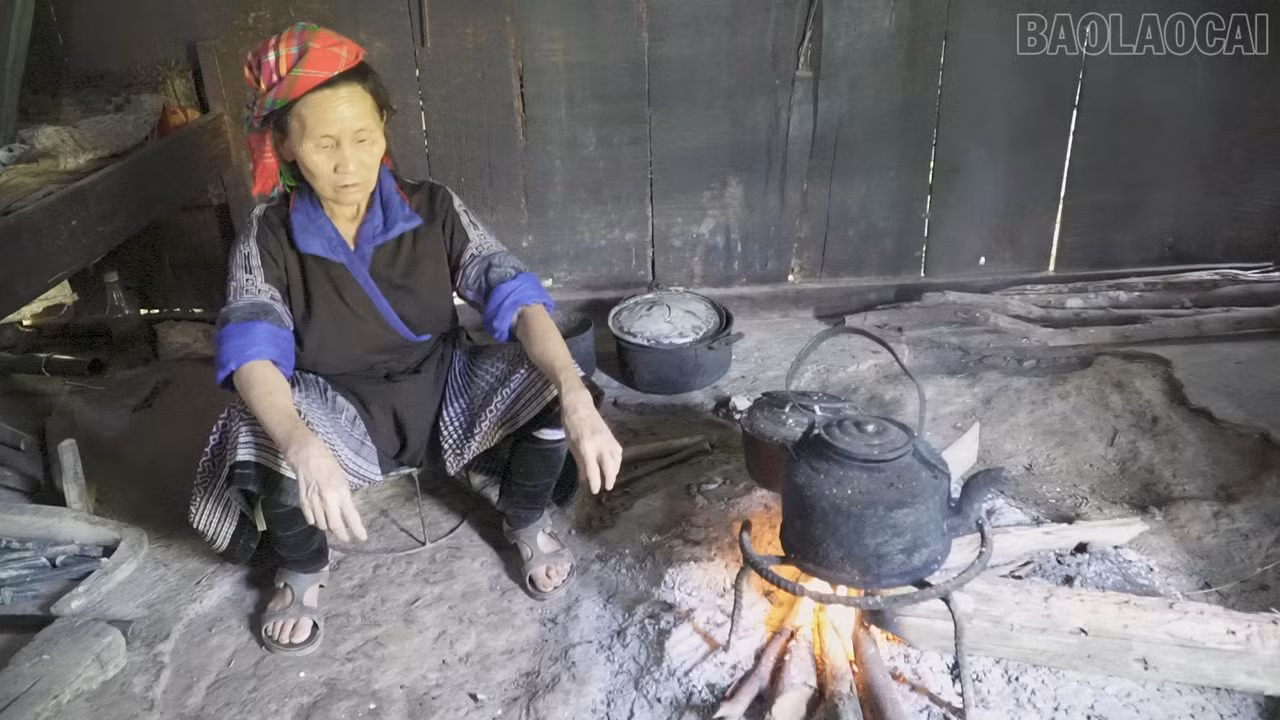 baolaocai-tr_c3493t01.jpg
