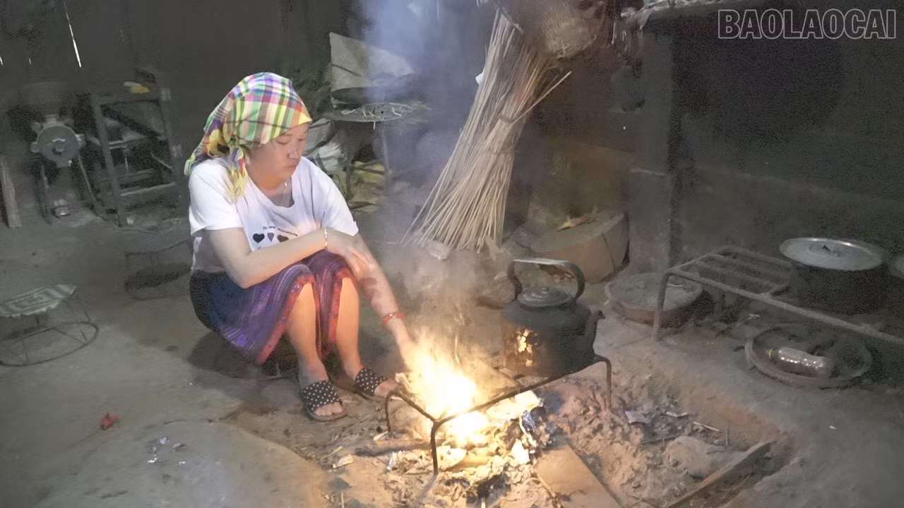 baolaocai-tr_c3546t01-7105.jpg