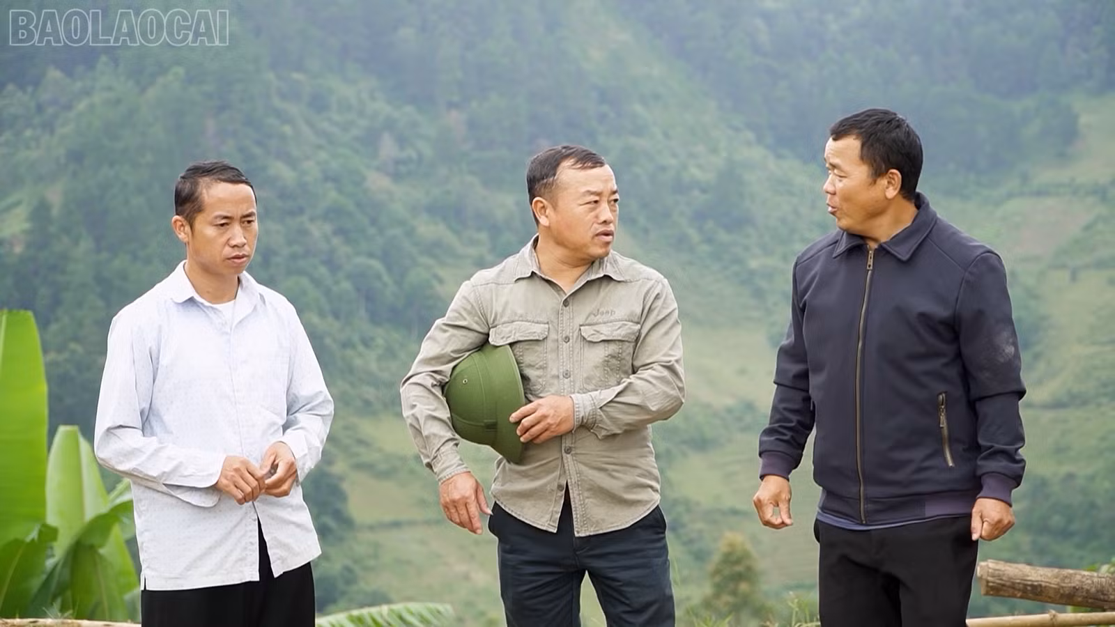 baolaocai-tl_mttq1.jpg