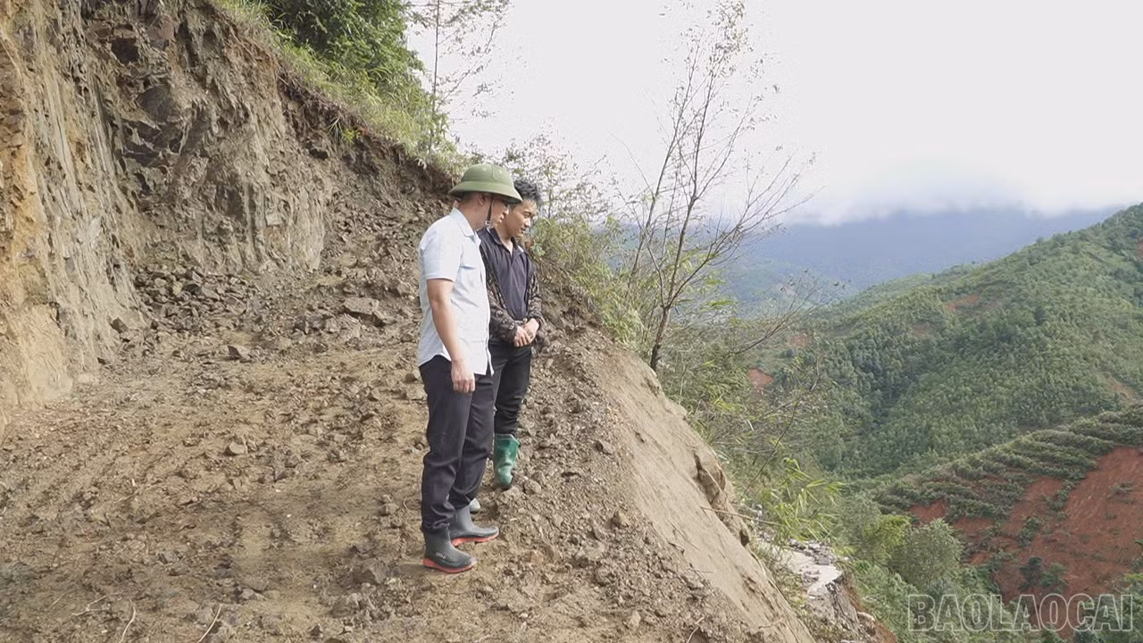 baolaocai-br_z8063873839000-d45125bc560801f08941d907a28e873b.jpg