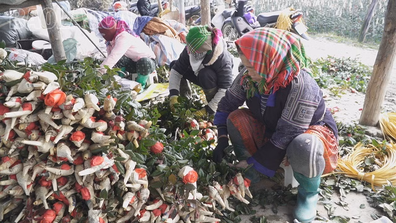 c2861t01-8791.jpg