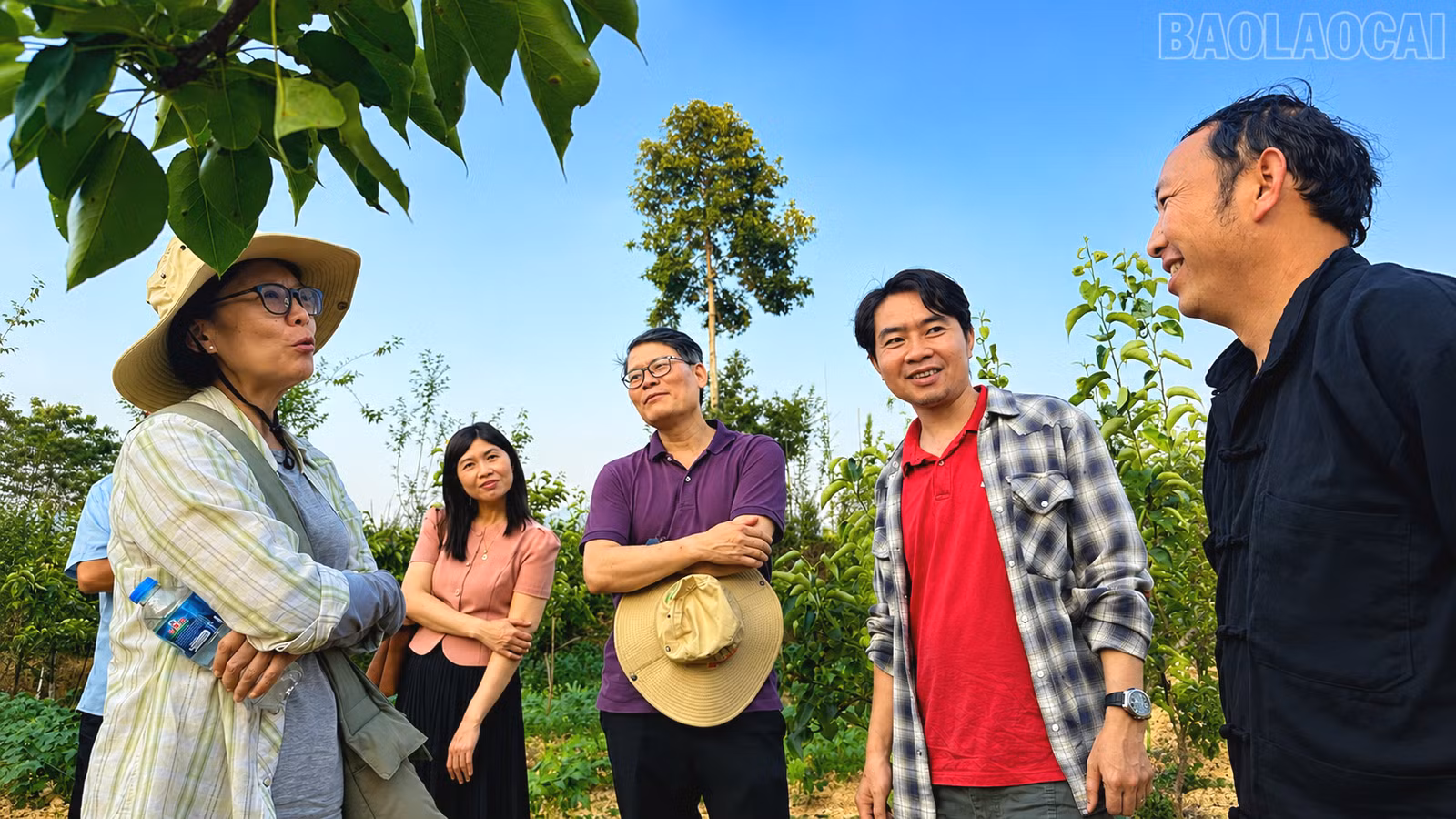 baolaocai-tr_ly-seo-dung-4759.png