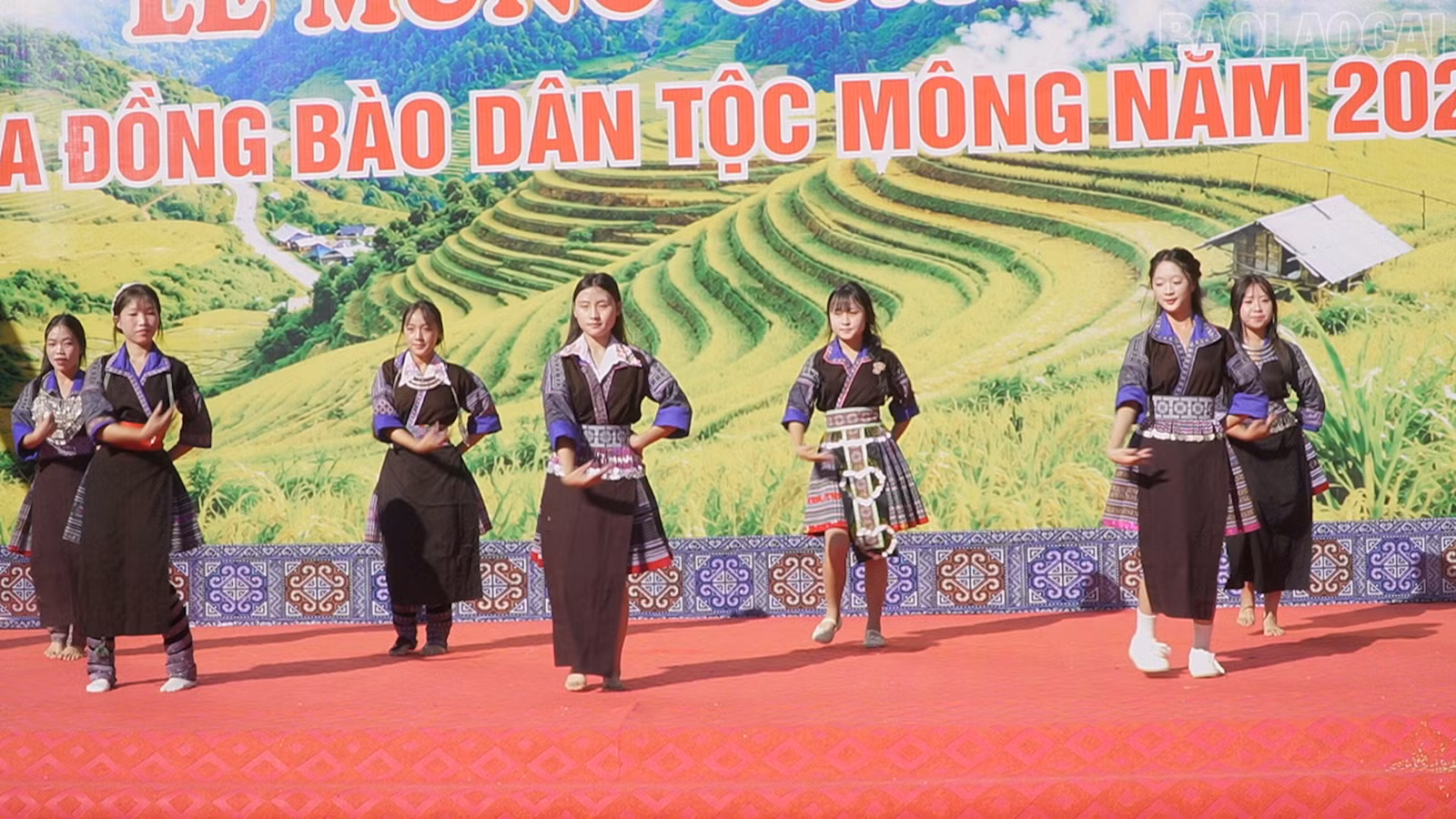 baolaocai-tr_cm4.jpg