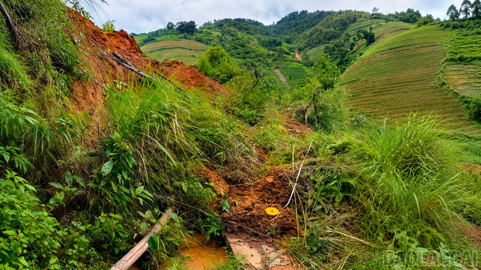 baolaocai-br_chatgpt-image-21-16-43-23-thg-7-2026.png