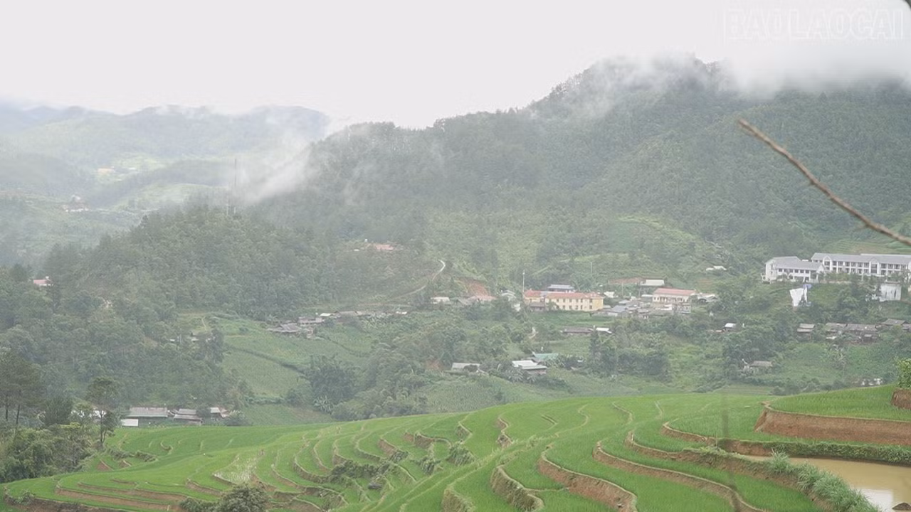 baolaocai-tr_c1361t01-7080.jpg