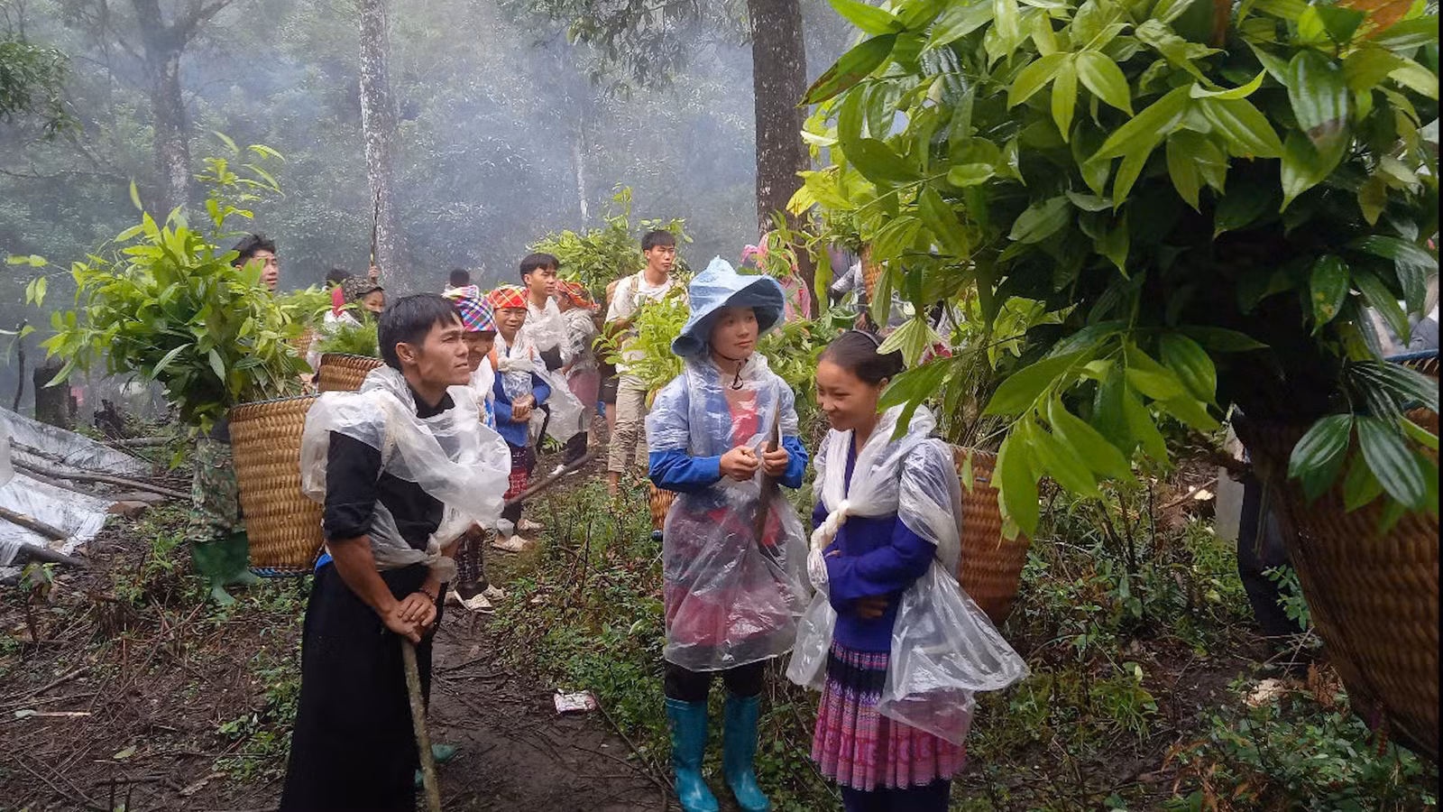 hanh-phuc-dan-vc-cay-giong-trong-rung.jpg