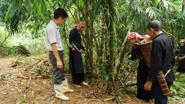 Hội Nông dân Văn Bàn đồng hành với nông hộ phát triển kinh tế