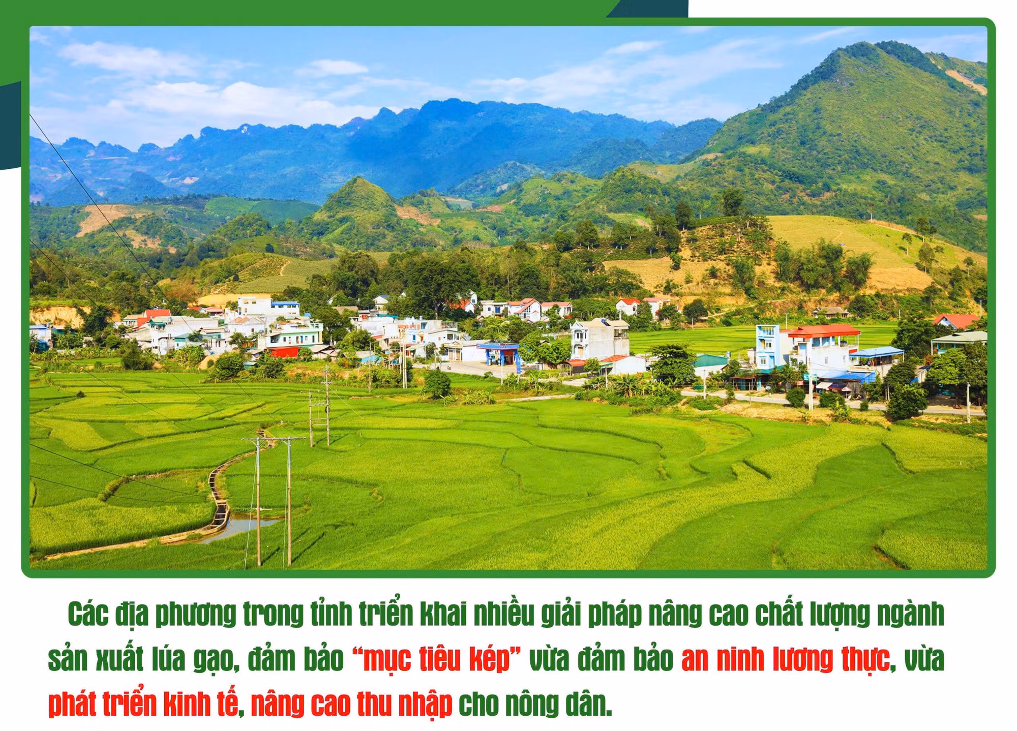 Lua (1).jpg