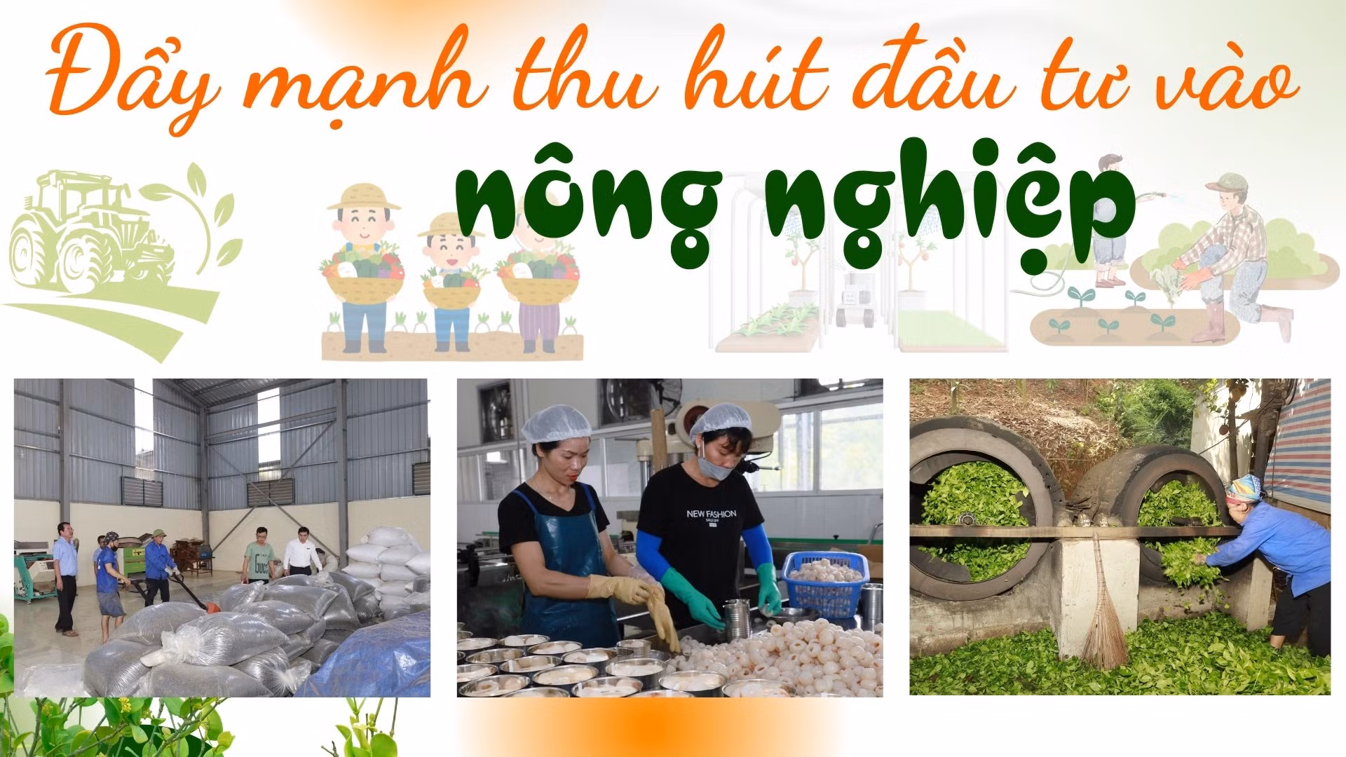 Đẩy mạnh thu hút đầu tư vào nông nghiệp