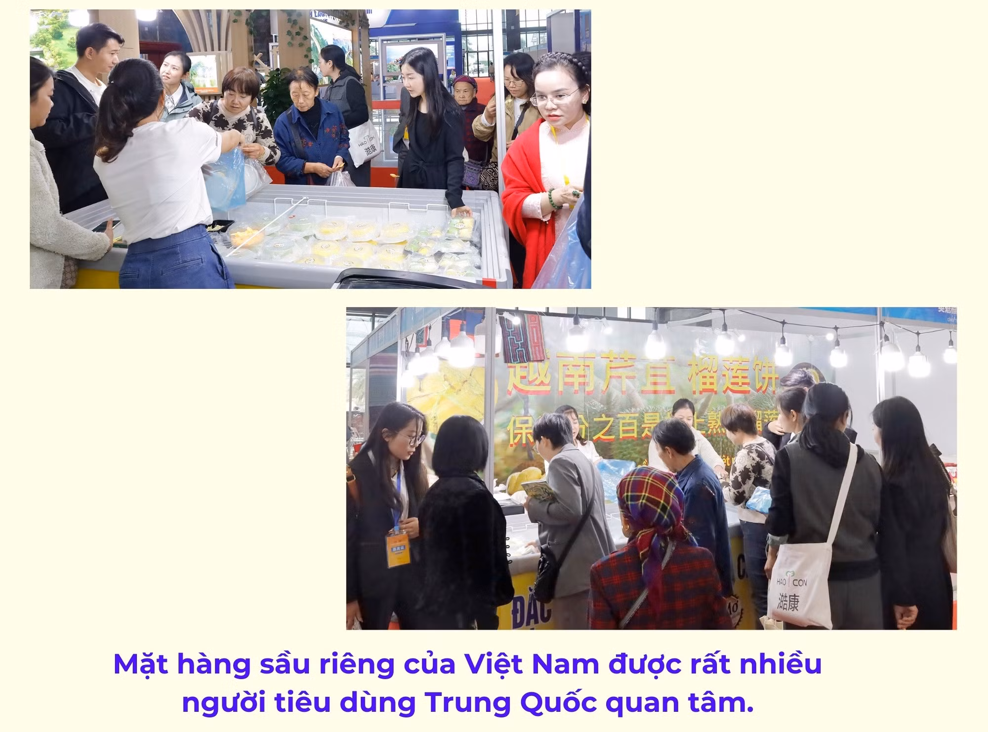 hv1.jpg