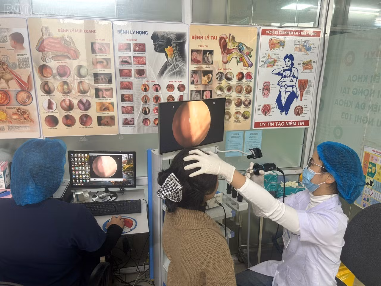 baolaocai-tl_89723a615c99d3c78a88.jpg