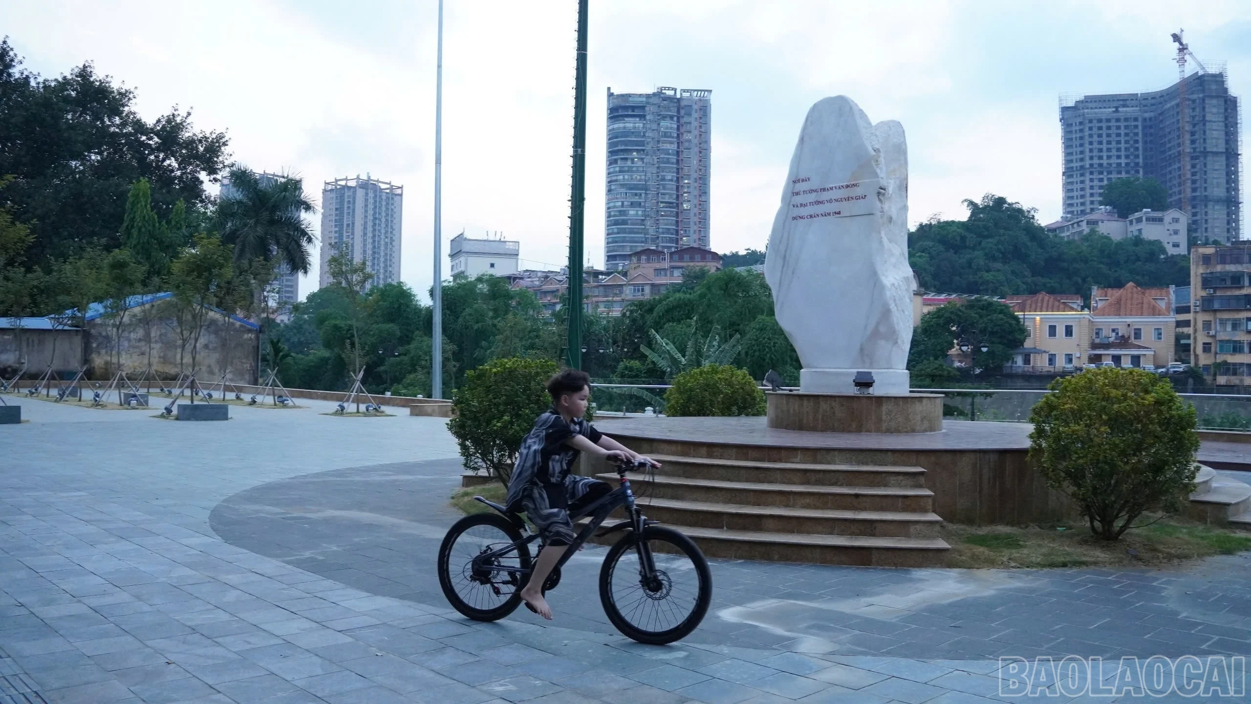 baolaocai-br_1a0d3633-dd88-42f4-ad1a-4a9133e316bd.png