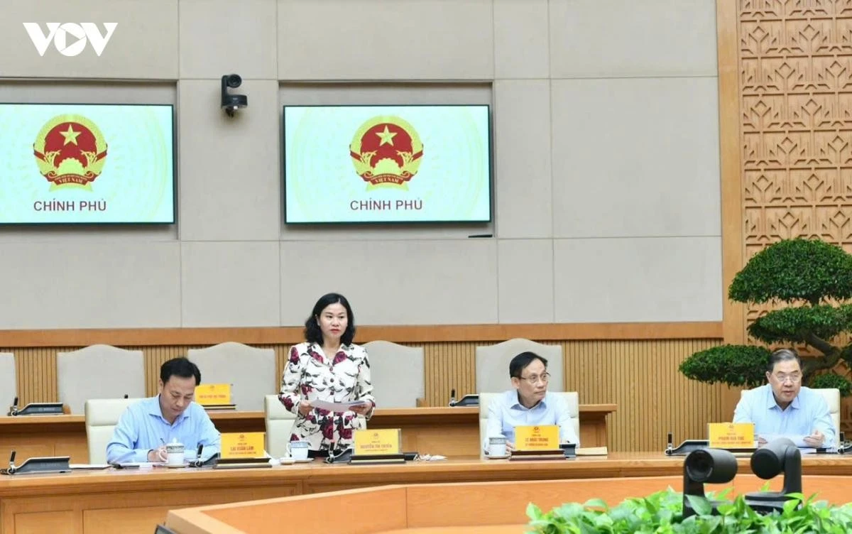 Phó Bí thư Đảng uỷ Chính phủ Nguyễn Thị Tuyến báo cáo tại hội nghị.