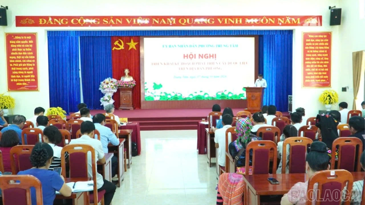 baolaocai-br_quang-canh-hoi-nghi-trien-khai-ke-hoach-phat-trien-cay-duoc-lieu-tren-dia-ban-phuong-trung-tam-6534.jpg