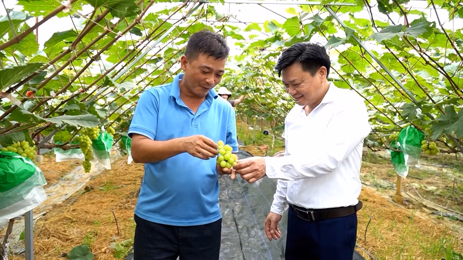 dung-hinh00-00-37-15still384.jpg
