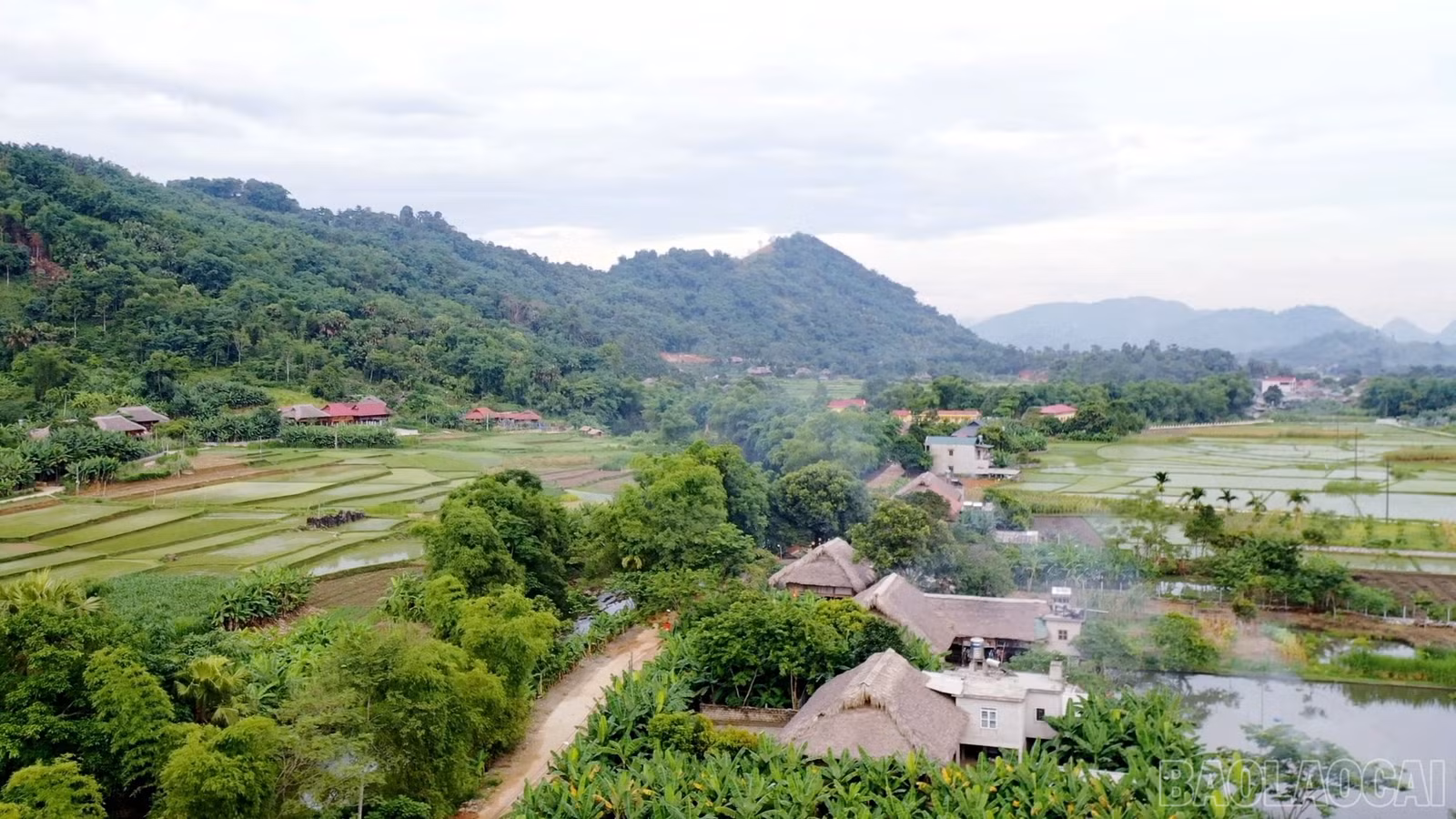 baolaocai-br_dung-hinh00-12-43-06still213.jpg