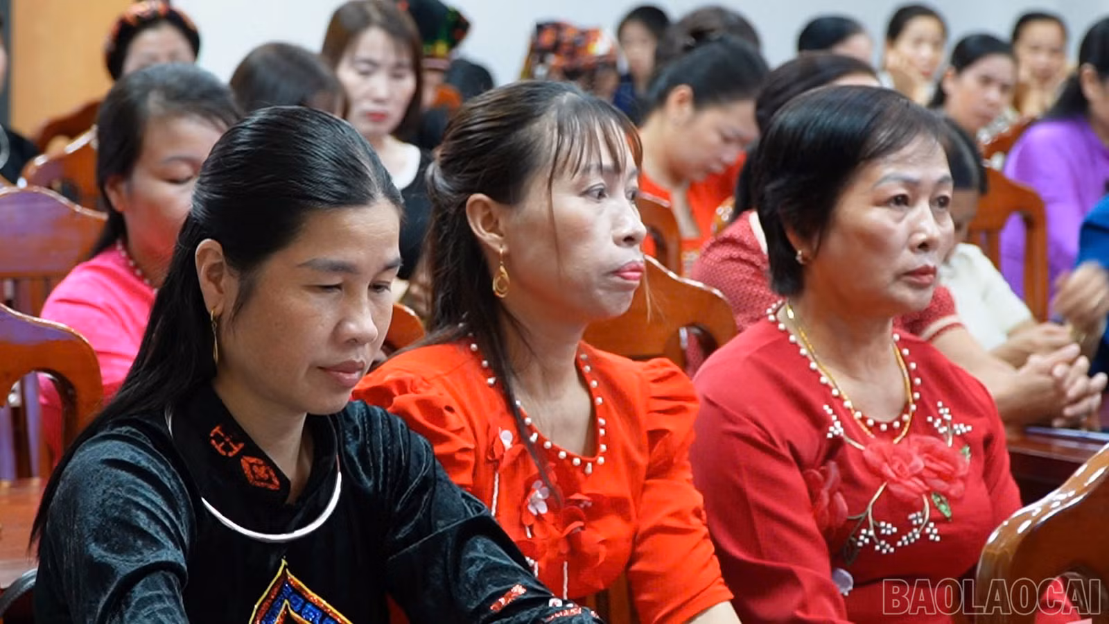 baolaocai-br_1793183443184-6061147100035685741-6061147100035685741-8051111d82f4d04e6716bef0b22f6ecc.jpg