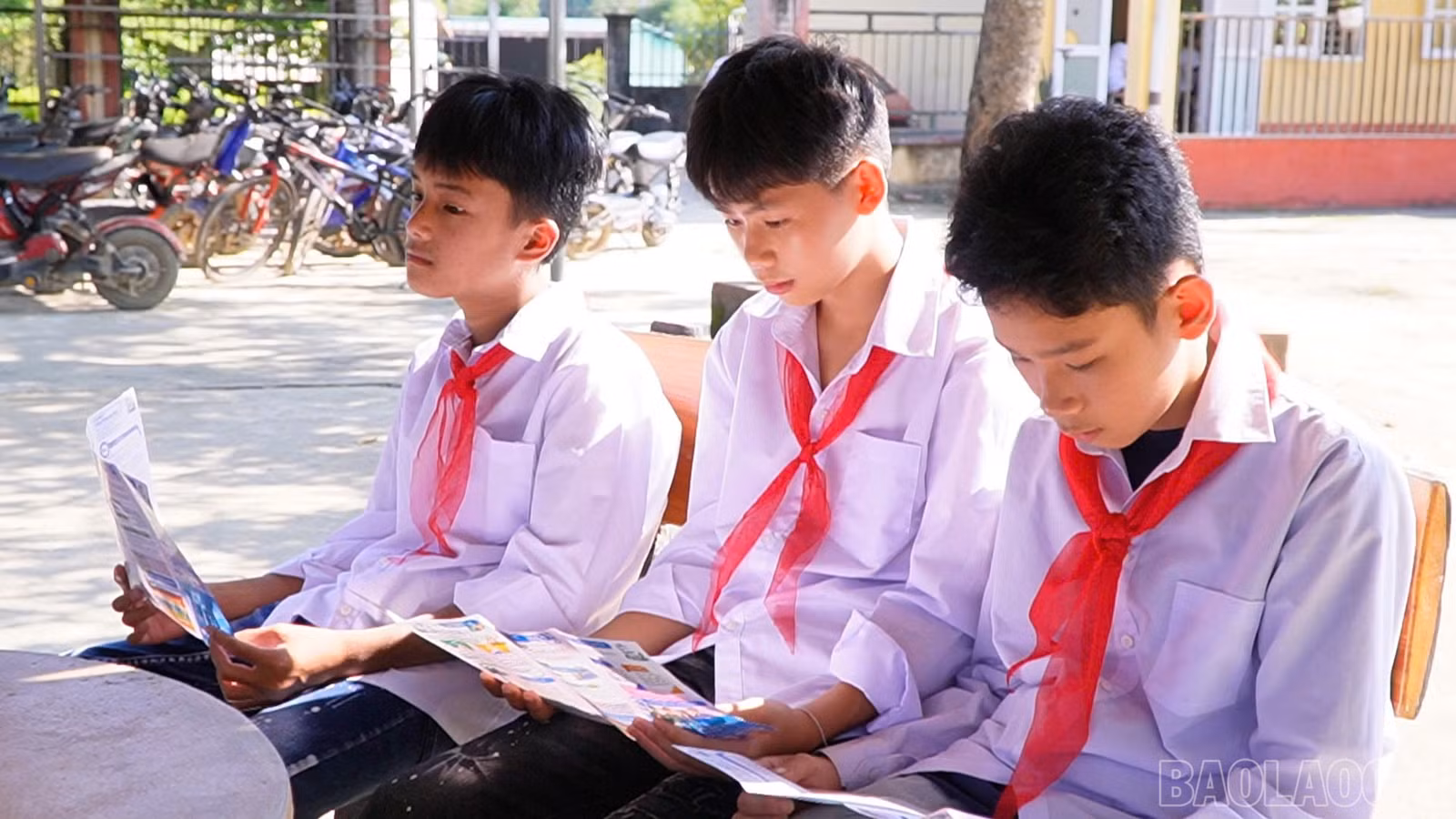 baolaocai-br_1790788465141-6061147100035685741-6061147100035685741-6010ae77b698e381d262edc982f01096.jpg