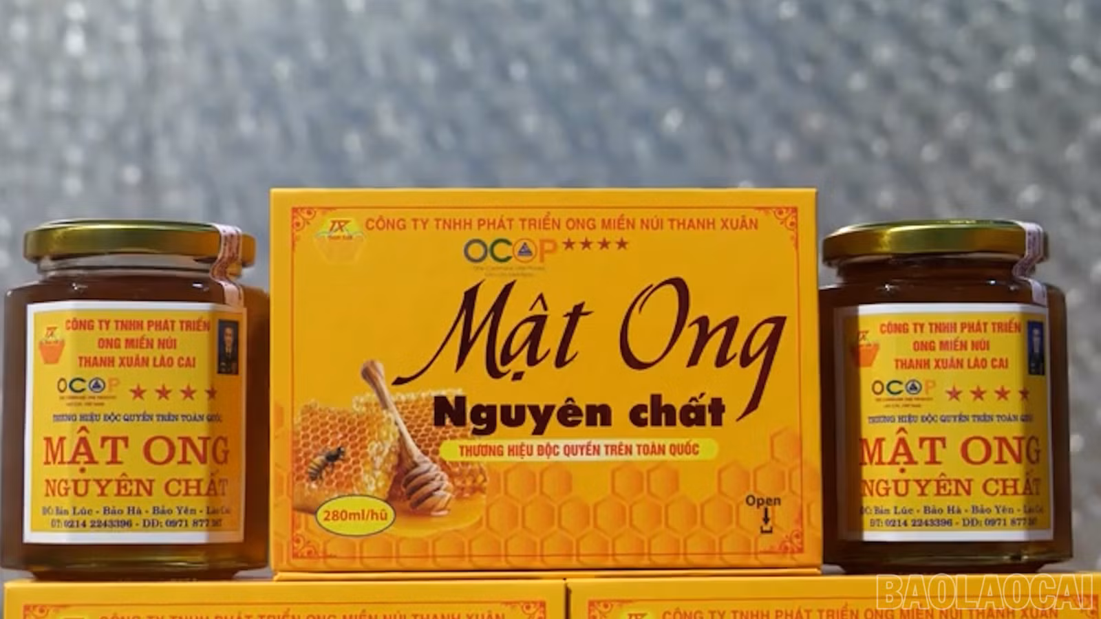 baolaocai-br_cuoc-song-xanh00-29-13-04still020.jpg