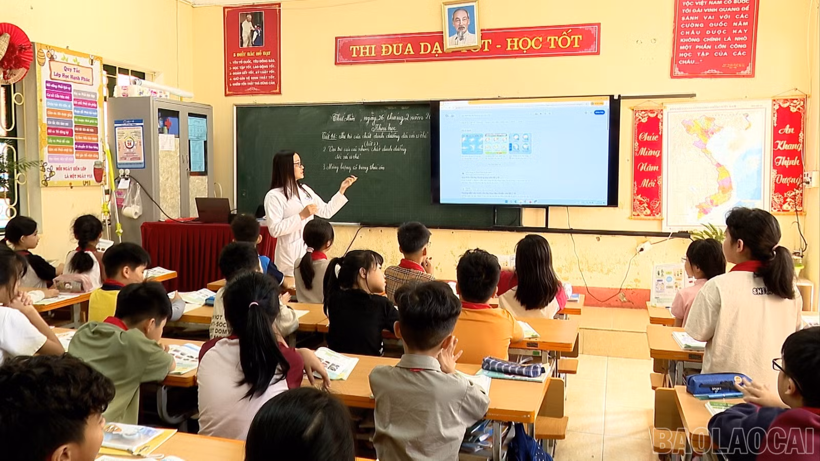 baolaocai-br_anh-2-2419.jpg