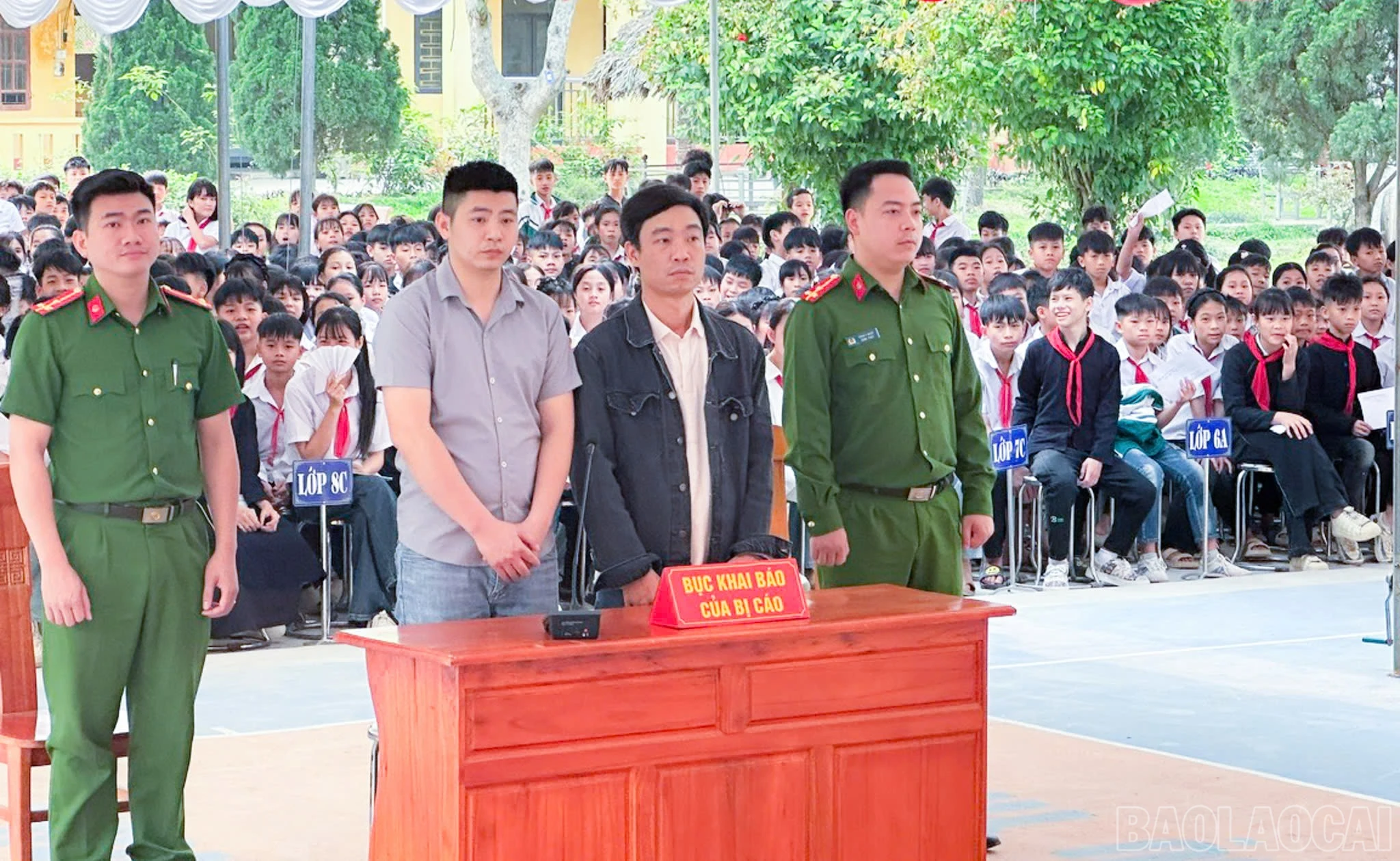 baolaocai-br_phong-du-thuong-4.jpg