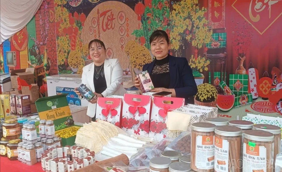baolaocai-br_tran-yen-ocop-7833.jpg