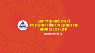 [Infographic] Tiểu sử tóm tắt những người ứng cử đại biểu HĐND tỉnh Lào Cai khóa XVII, nhiệm kỳ 2026 - 2031 (Đơn vị bầu cử số 15)