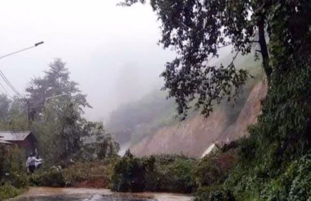 z5808434601851_3cb9e40821fb2b10b887cf6902fa3dc0.jpg