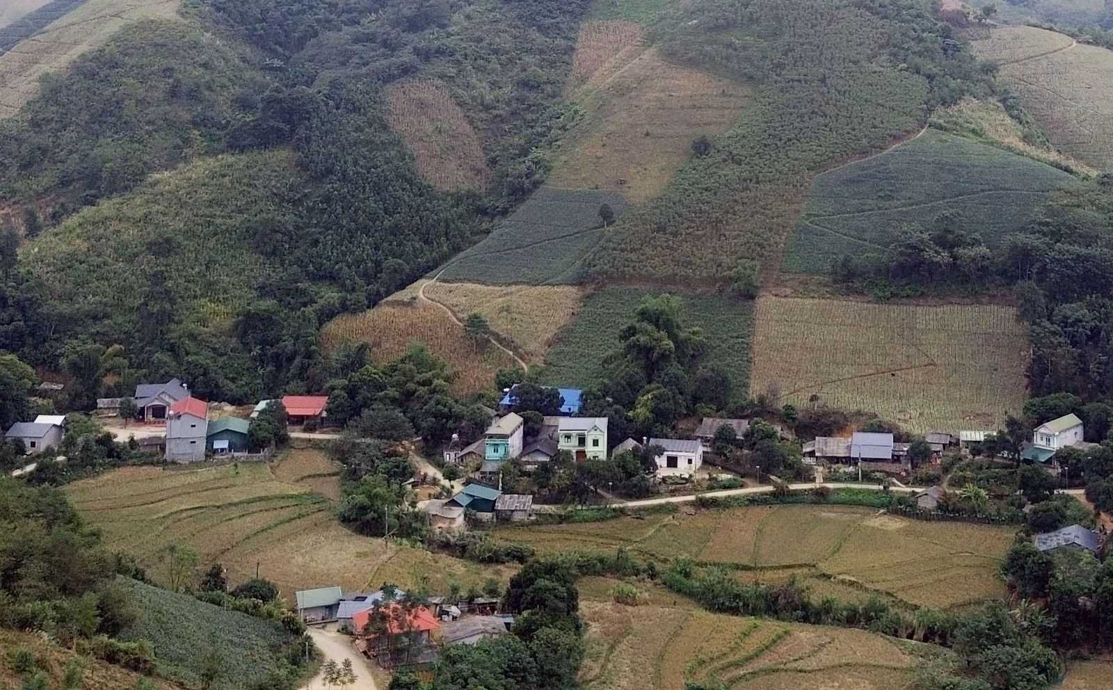 dji-0390.jpg