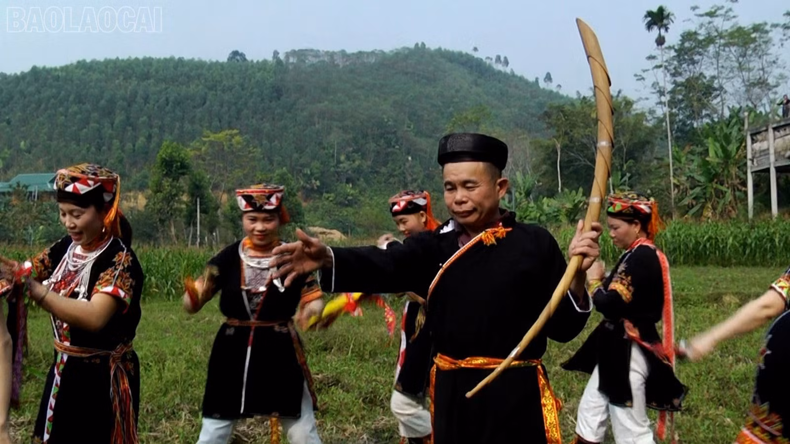 baolaocai-tl_dao3-7388.jpg