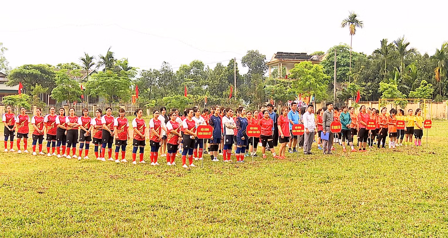 baolaocai-tr_bd321.jpg
