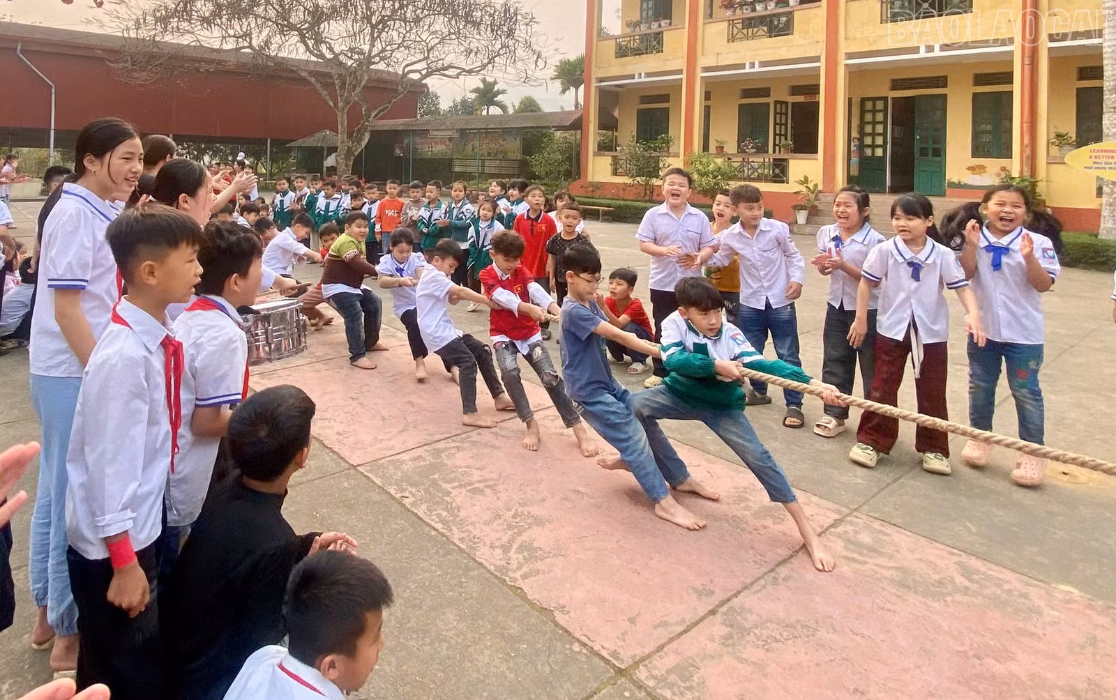 baolaocai-tr_tieuhoctranphu.jpg