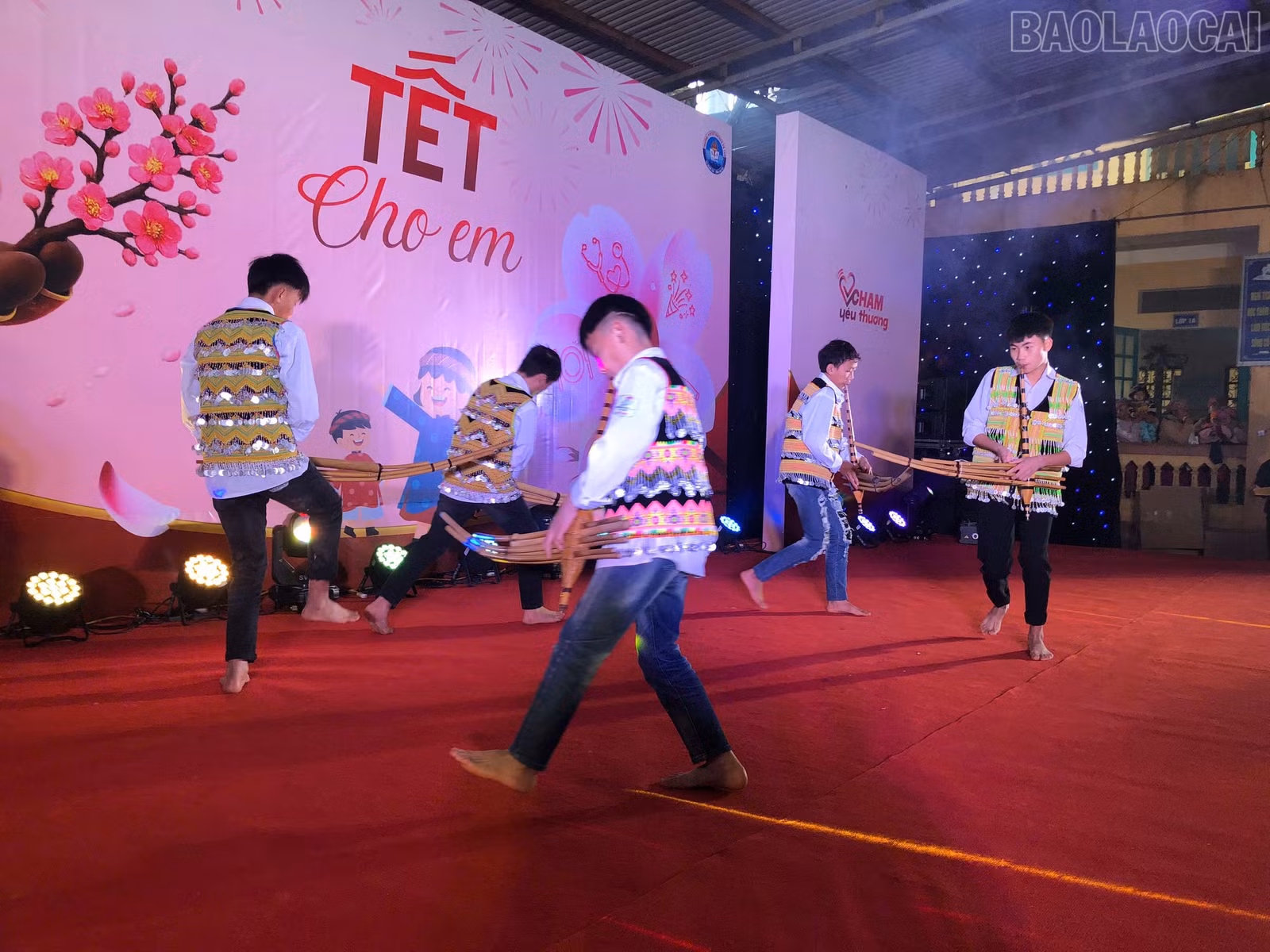 baolaocai-tr_5.jpg