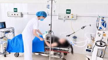 Cấp cứu thành công ca ngộ độc lá ngón suy hô hấp