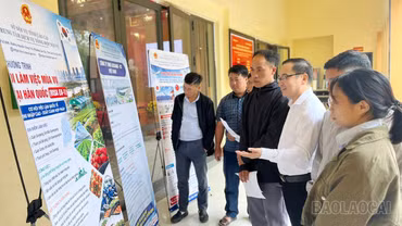 Trung tâm Dịch vụ tổng hợp Nội vụ tỉnh tổ chức phiên giao dịch việc làm tại xã Y Tý