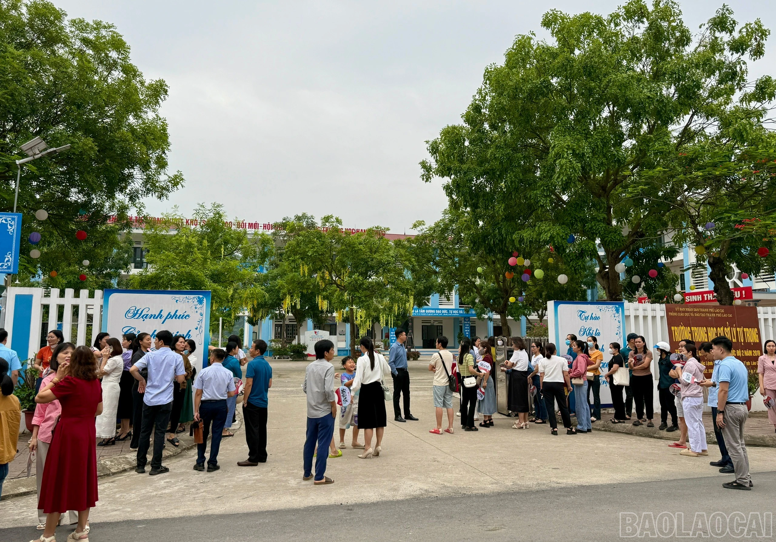 baolaocai-br_z6657632271589-e70fe579321407e8347e323435e69fd9.jpg