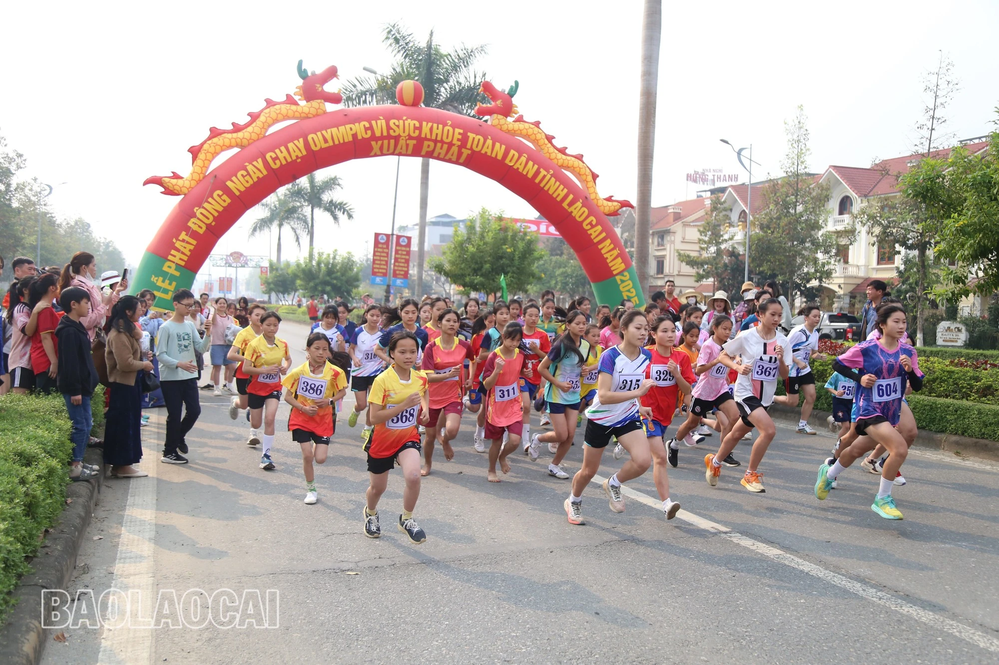 chum-1-9.jpg