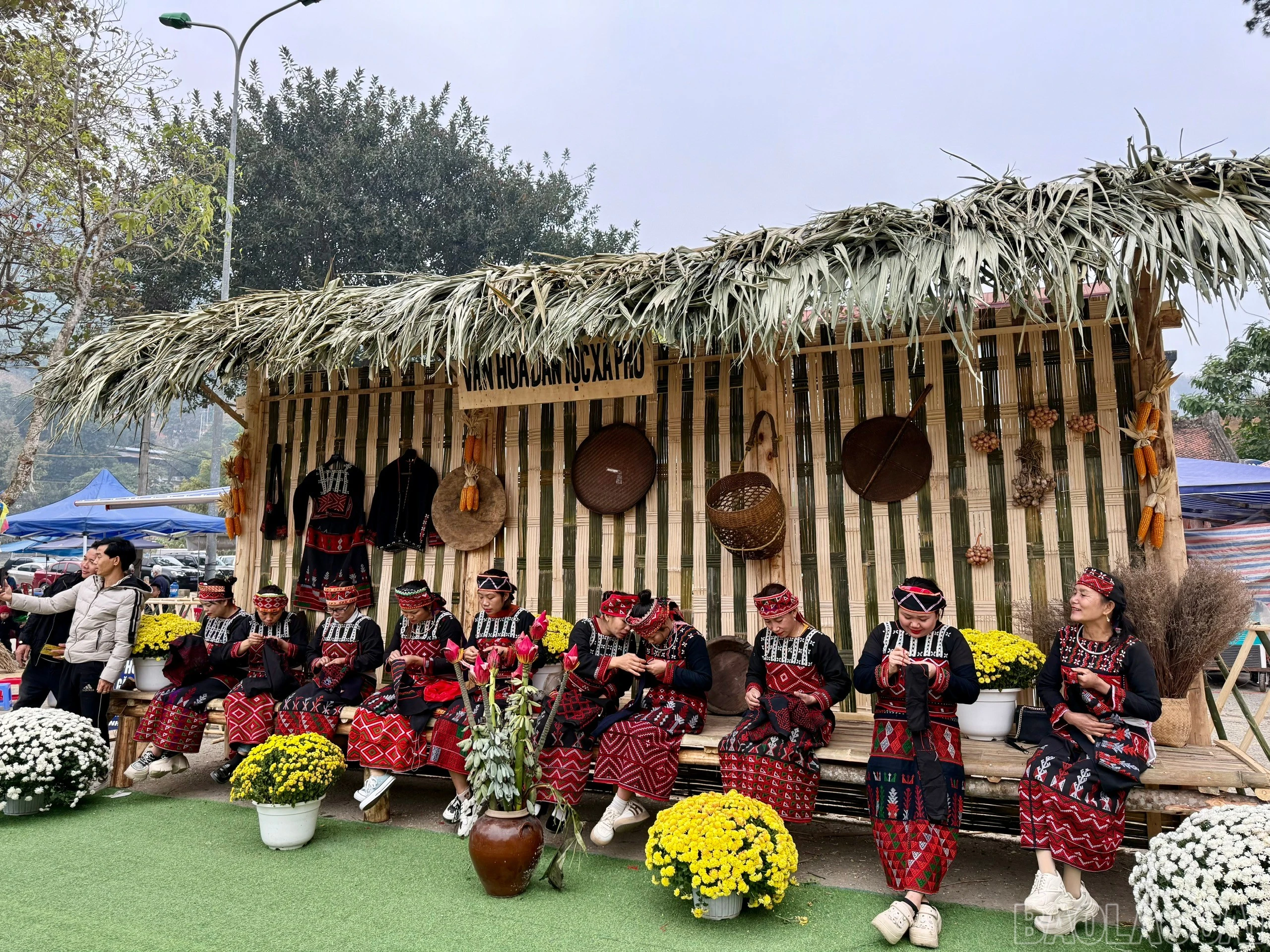 baolaocai-br_z6311182701945-6ed6da16ea08b7c6c4ff33b23de86f32.jpg