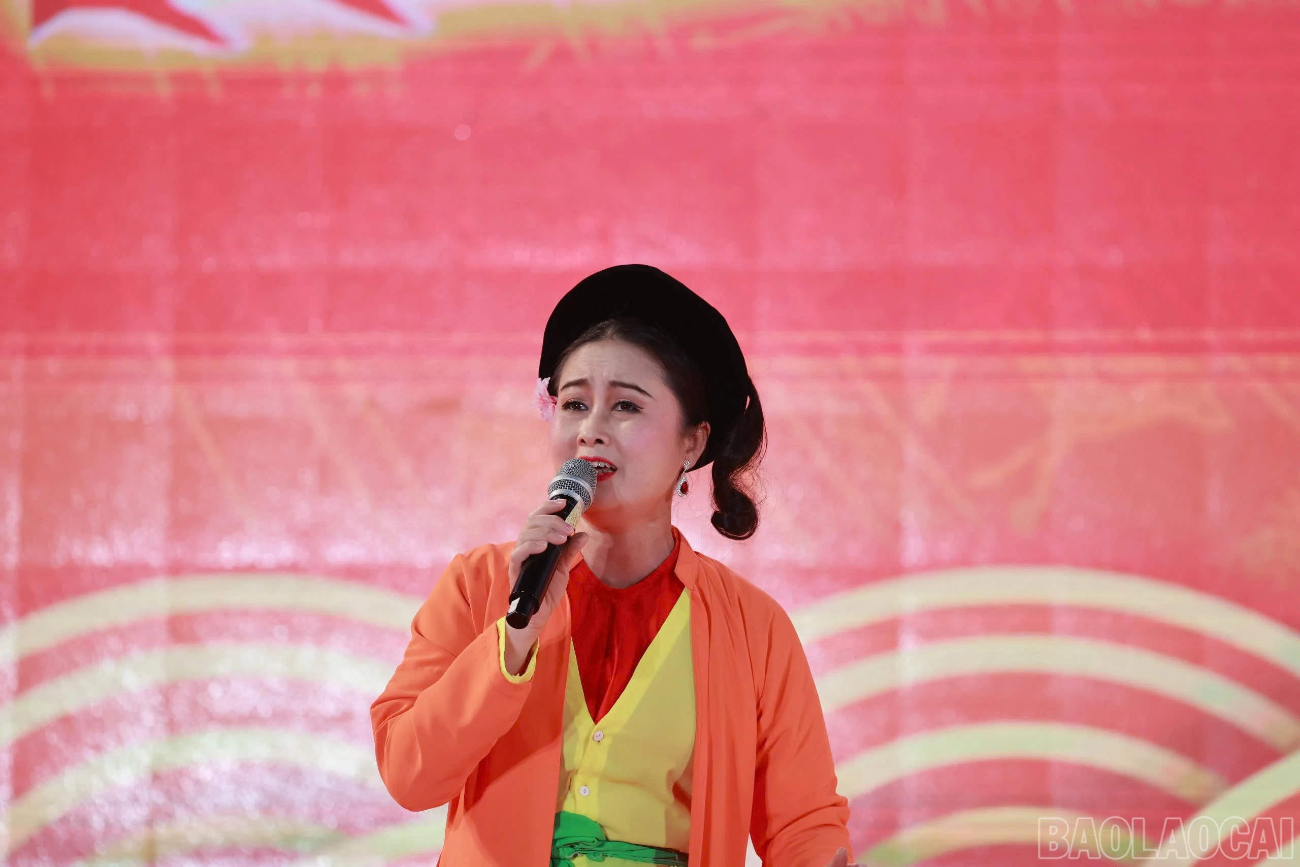 baolaocai-br_z6312066123498-f6dceea838355c7084701767f7357fb2.jpg