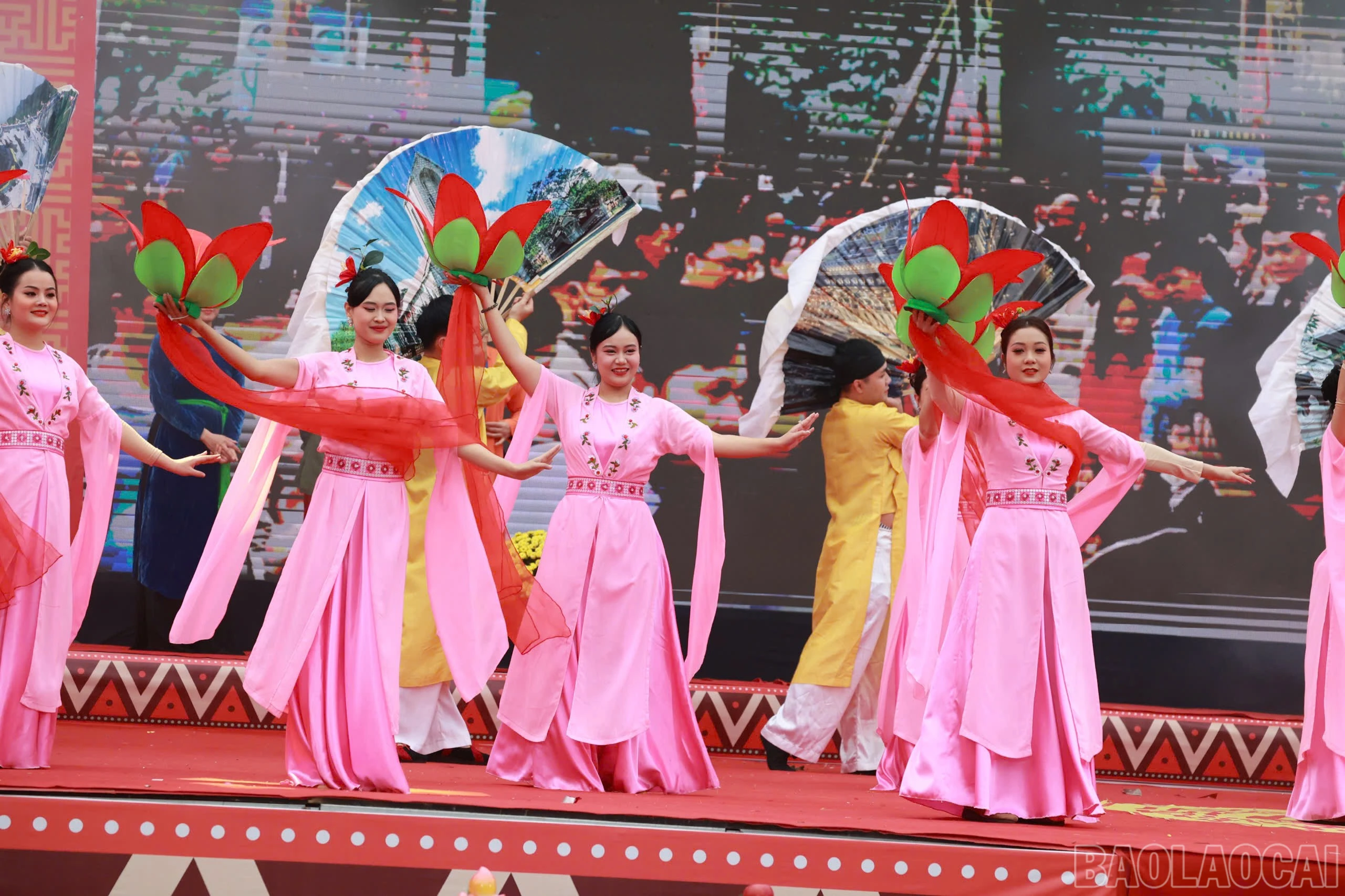 baolaocai-br_z6309734824055-94c99c1d2194a2165c51b50b8b112dd1.jpg
