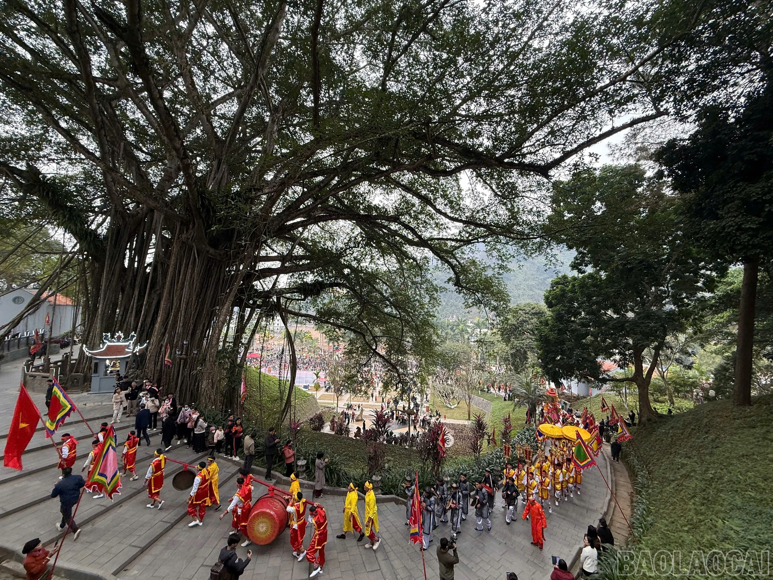 baolaocai-br_z6309848383362-a2a83a3ef13d3bb0ef35b56bb9ec12b1.jpg