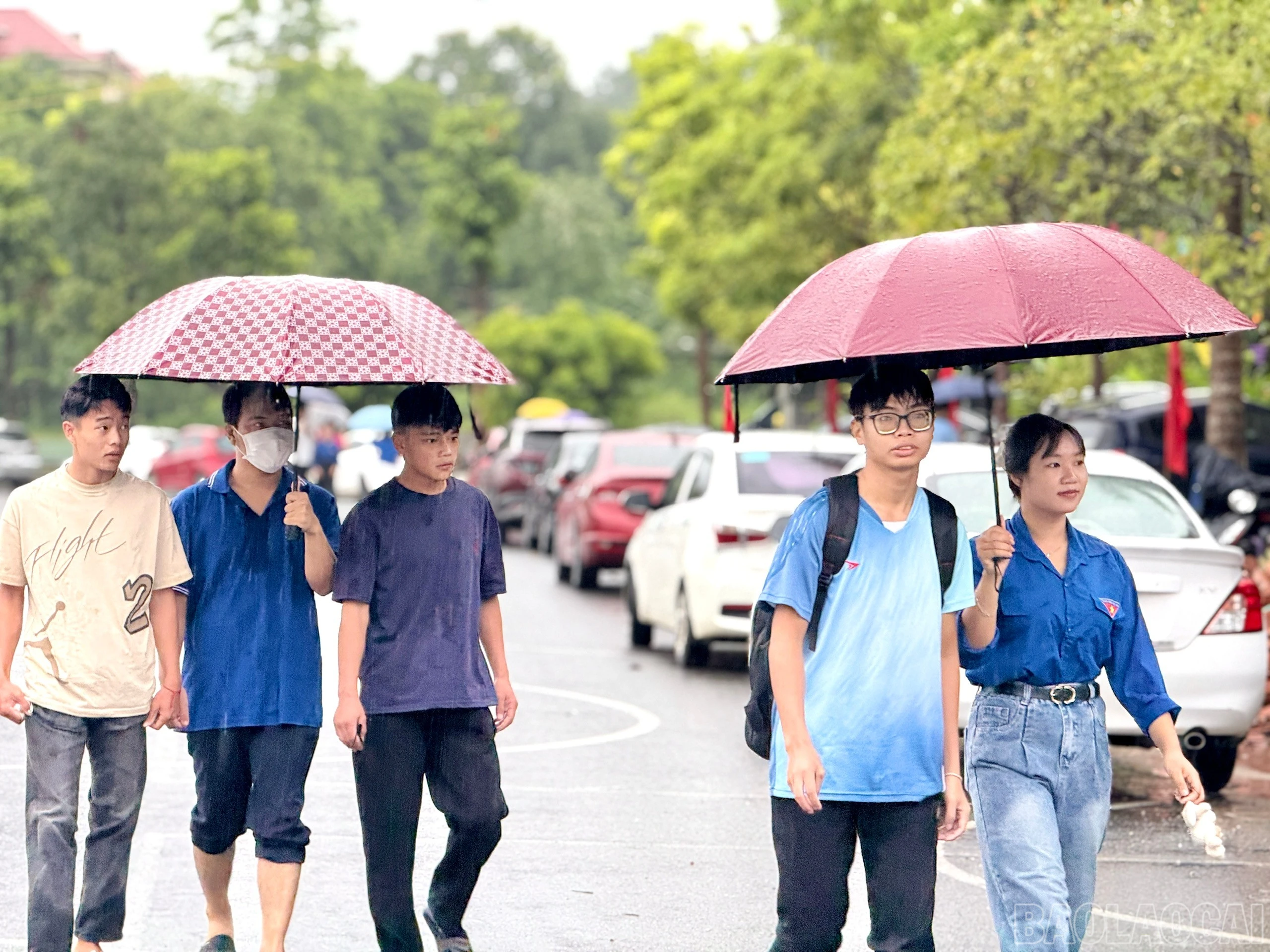 baolaocai-br_z6993009237749-a826257d57152e36ba16b2809abf499f.jpg