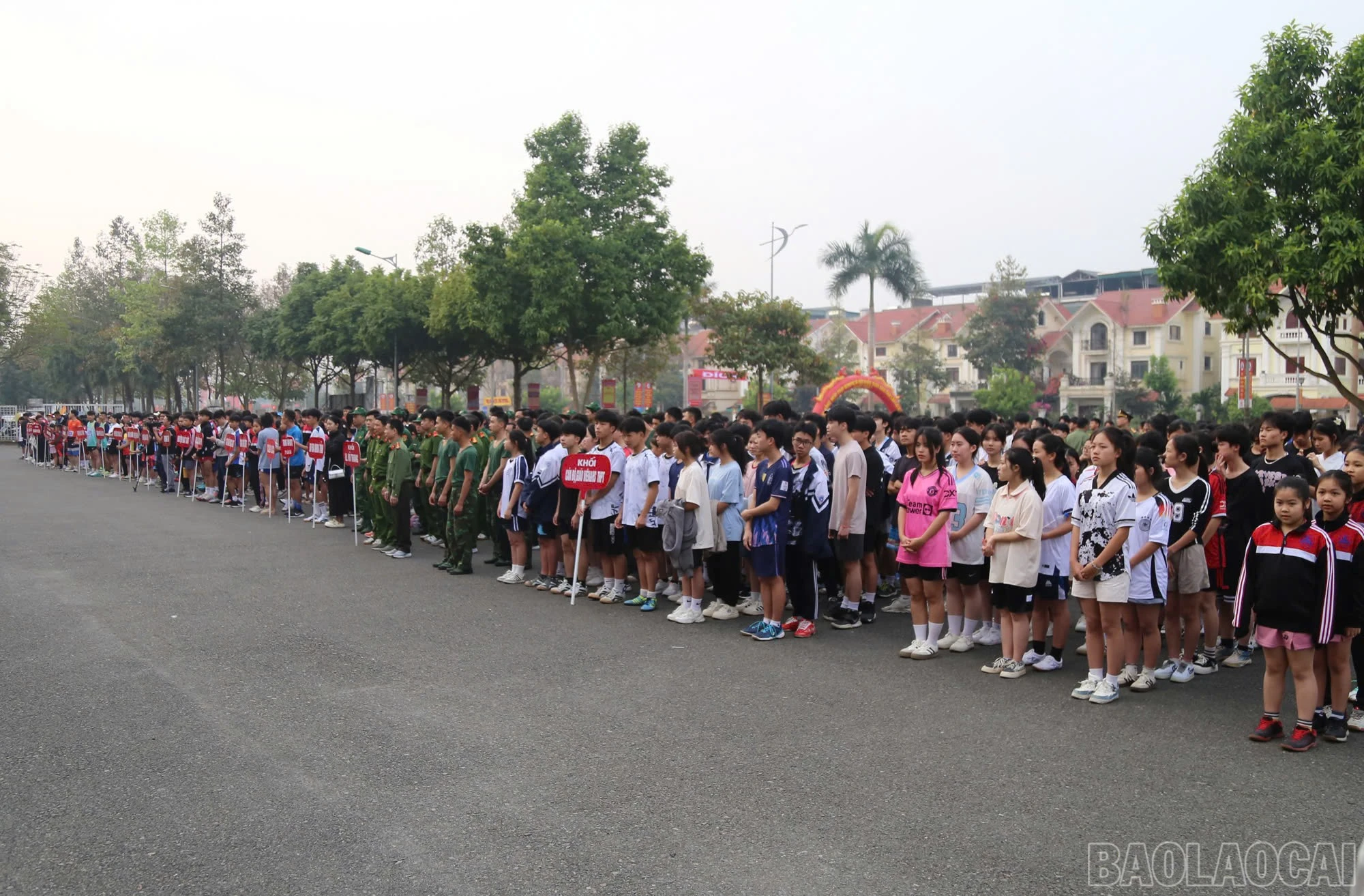 baolaocai-br_z6433262894921-724a9b06690dbe0284d81cf221ed0816.jpg