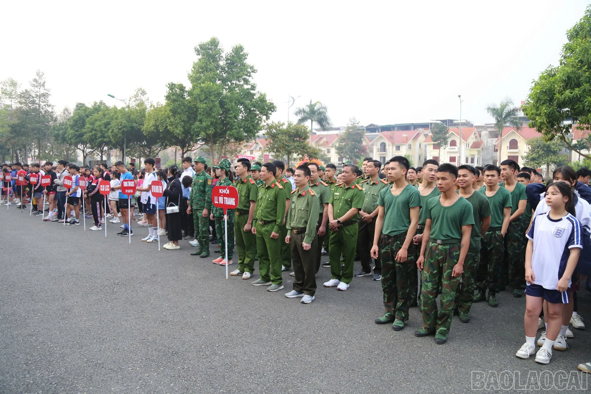 baolaocai-br_z6433262819011-abce6e7ac1597b3ee0ff5e95cb4ad647.jpg