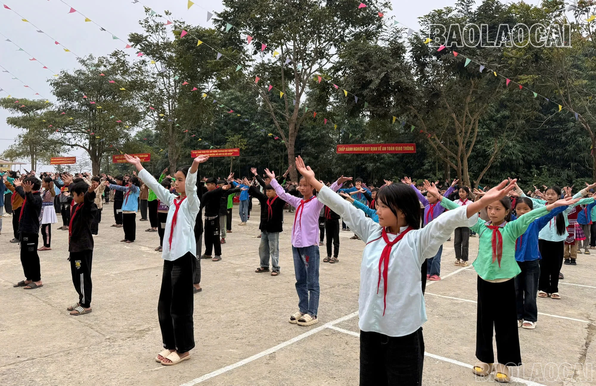 baolaocai-br_z6260970444607-5e313d7e80f2a426a3c0ec1dc9e8055d.jpg